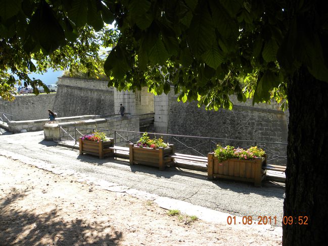 DSCN9892