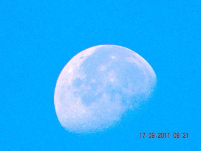 DSCN0334