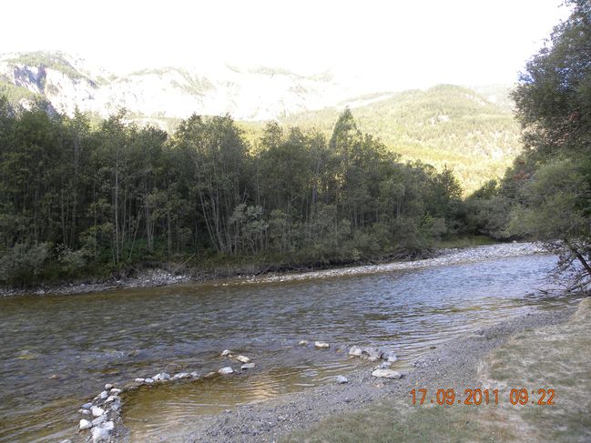 DSCN0336