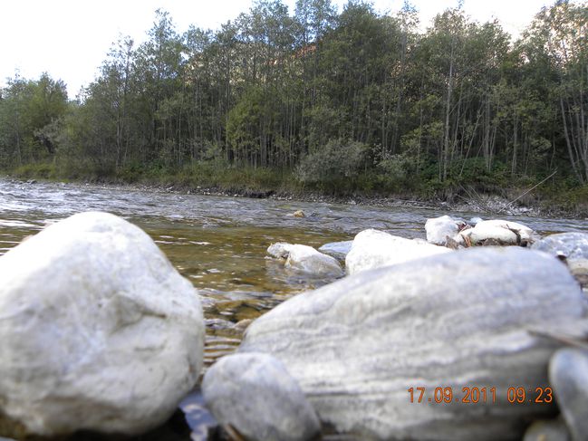 DSCN0337