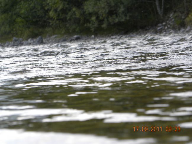 DSCN0338