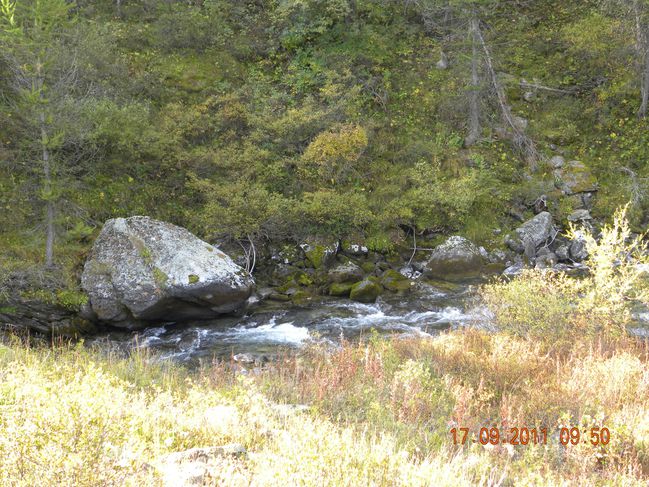 DSCN0347