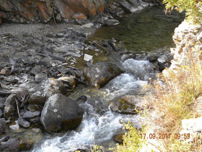 DSCN0354