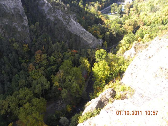 DSCN0128