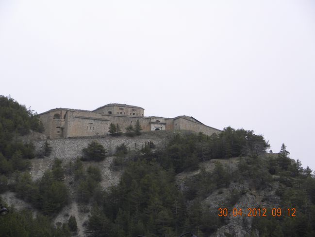 DSCN8451