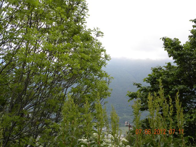 DSCN9062