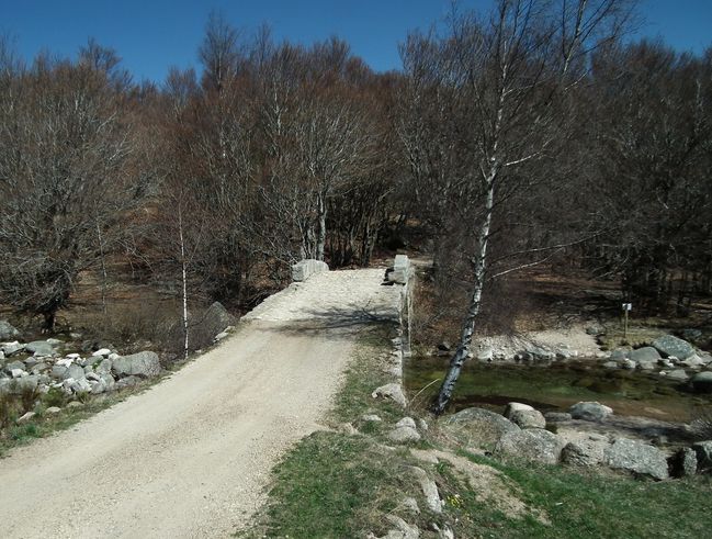 42-Passage-Pont-du-Mas-Camargue.jpg