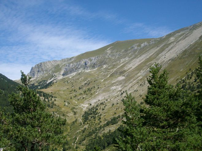 IMGP2482