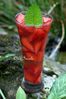 Coupe-de-fraises-en-gelee 0998-1