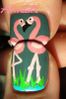 Flamants-roses-2.jpg