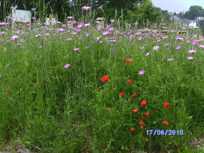 BILD2594