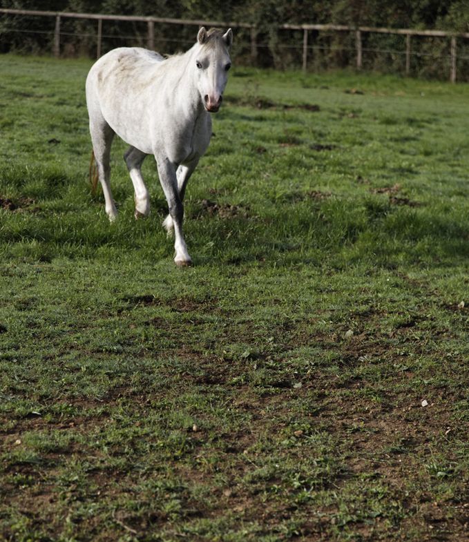 Pbase MG 4535 DxO