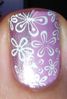 Fleurs mauves zoom