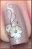 20122736.jpg