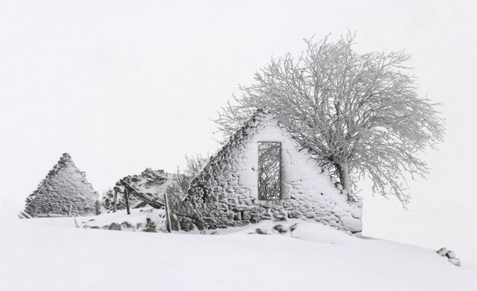 photo-expo-aubrac.jpg