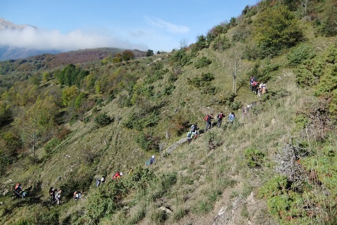 Tour du bois de la Beaume 011
