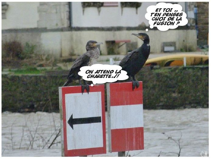 Charette