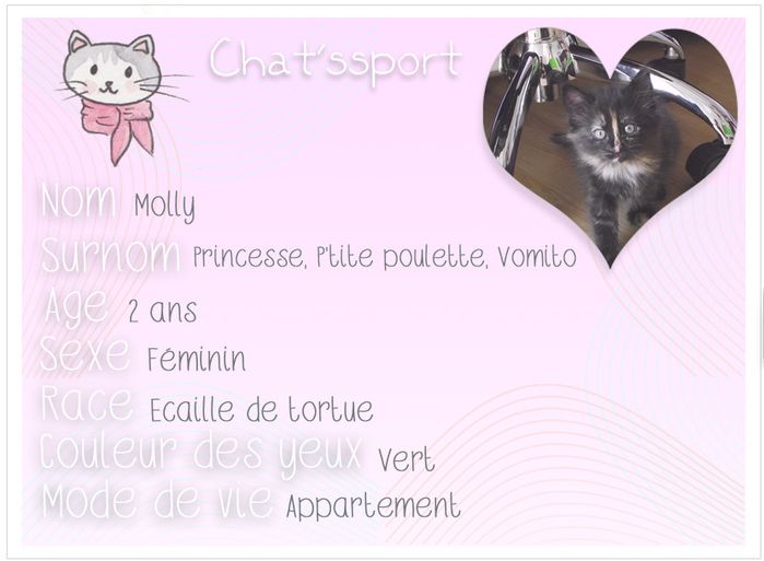 chatssport-Molly-copie.jpg