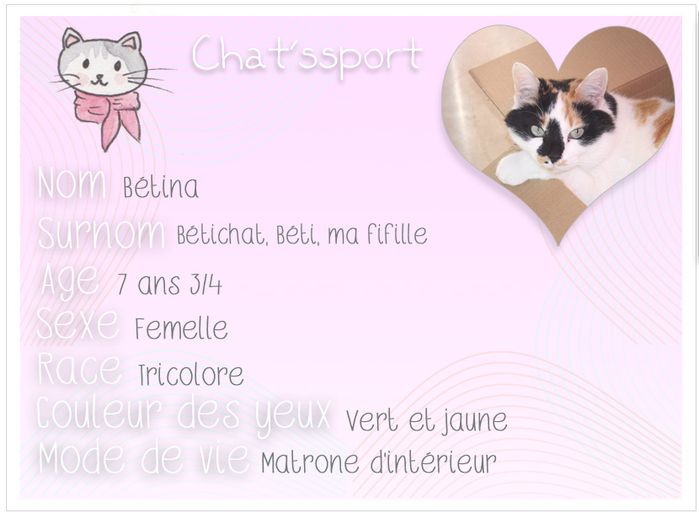 chatssport-Betina.jpg