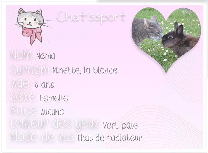 chatssport-Nema.jpg