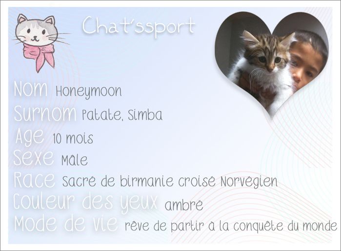 Chatssport-honeymoon.jpg