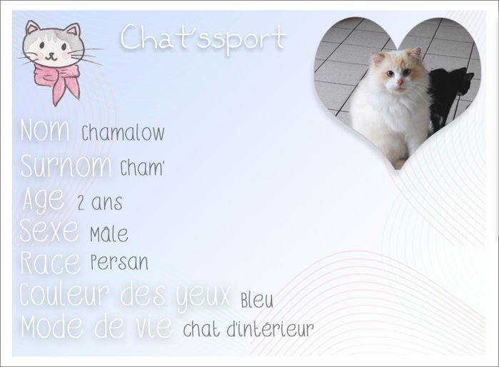 Chatssport-Chamalow.jpg