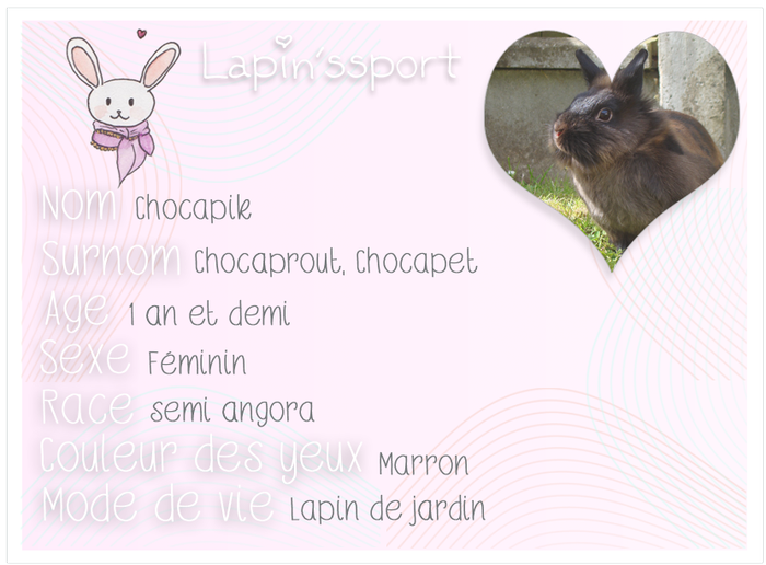 Lapinssport Chocapik-copie-1