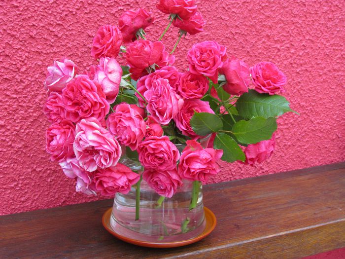 2011-10-004.jpg