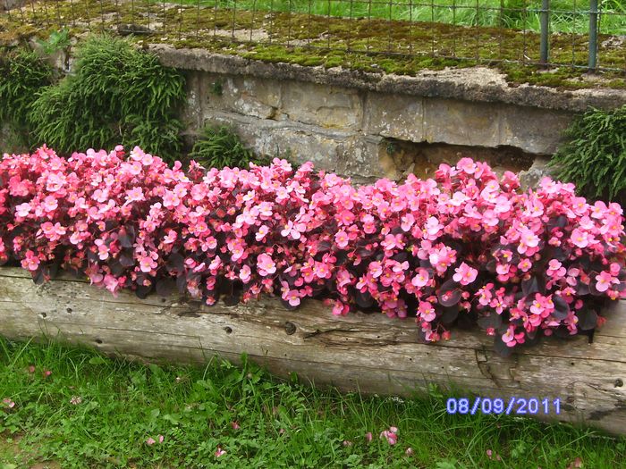 BILD3128.JPG