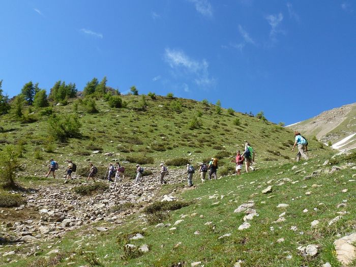 Image_3.JPG