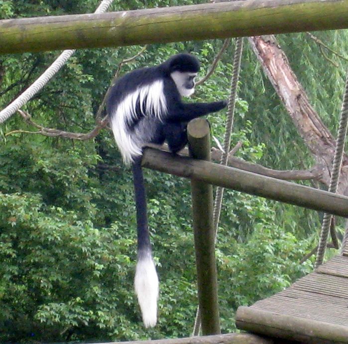 Beauval-2-8207.JPG