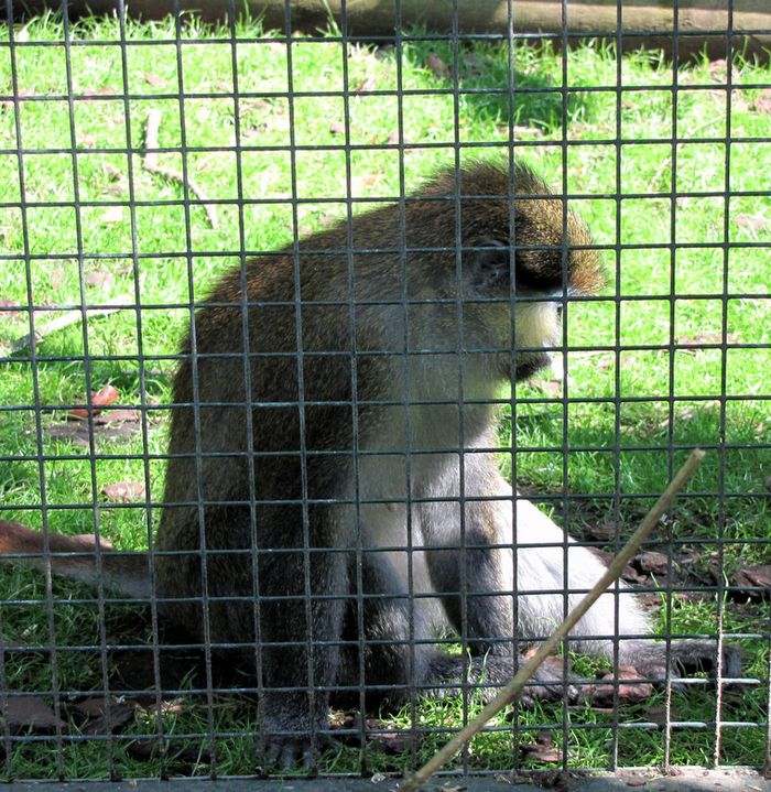 Beauval-3-9843.JPG