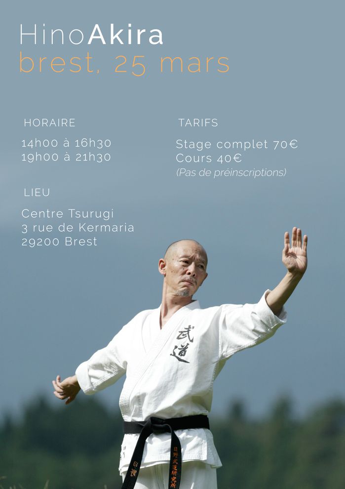 2013 Mars Brest Hino
