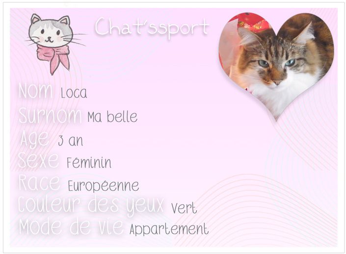 chatssport-Loca.jpg