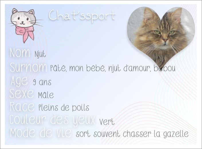 Chatssport-Njut.jpg