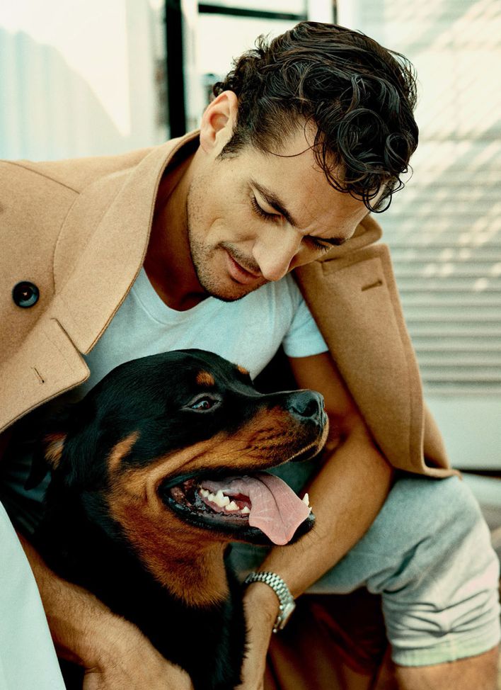 David-GANDY-.--Dog.jpg