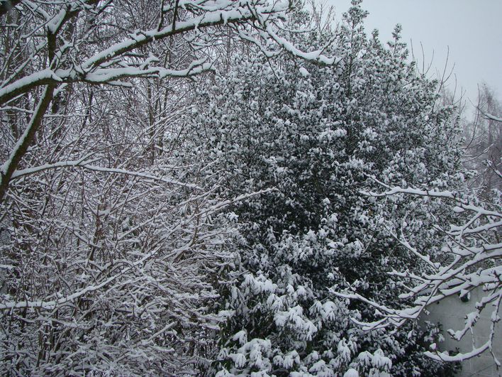 DSC02026