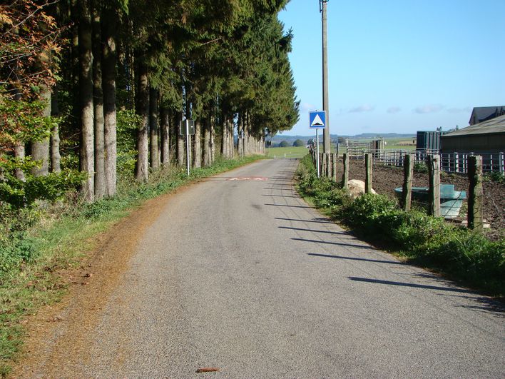 DSC01969