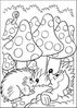 pilz-17.jpg