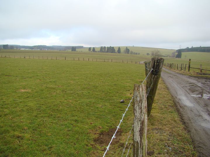 DSC02155