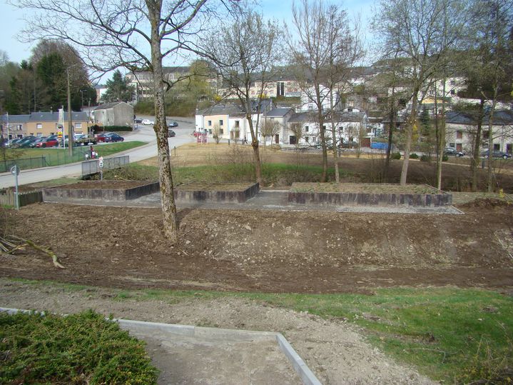 DSC02335