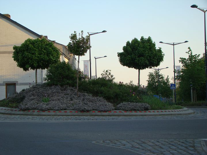 DSC02383