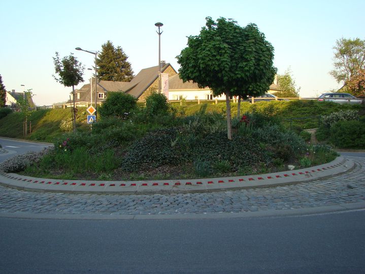 DSC02384