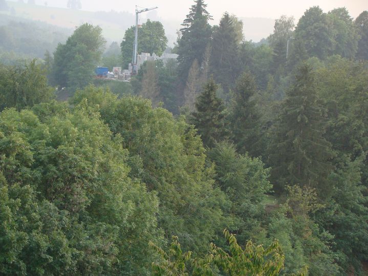 DSC02775.JPG