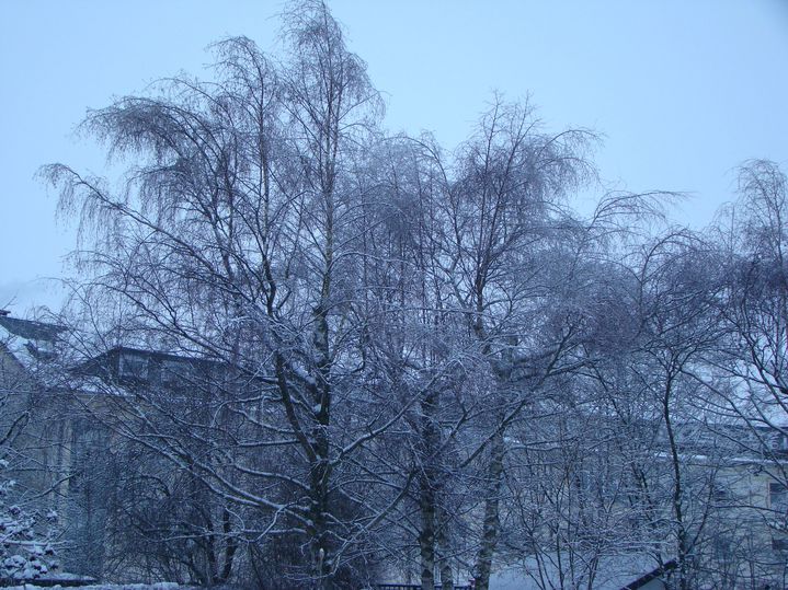 DSC02067