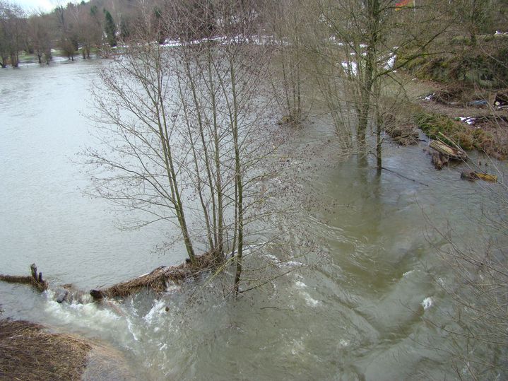 DSC02078