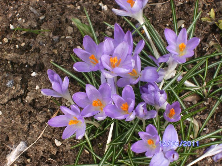 BILD2871