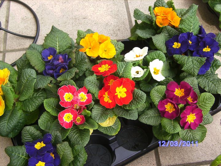 BILD2873