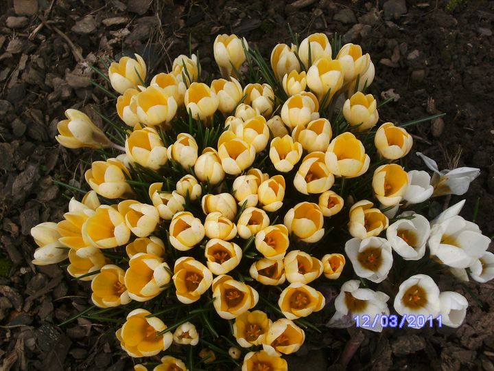 BILD2874