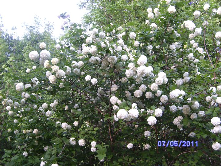 BILD2932